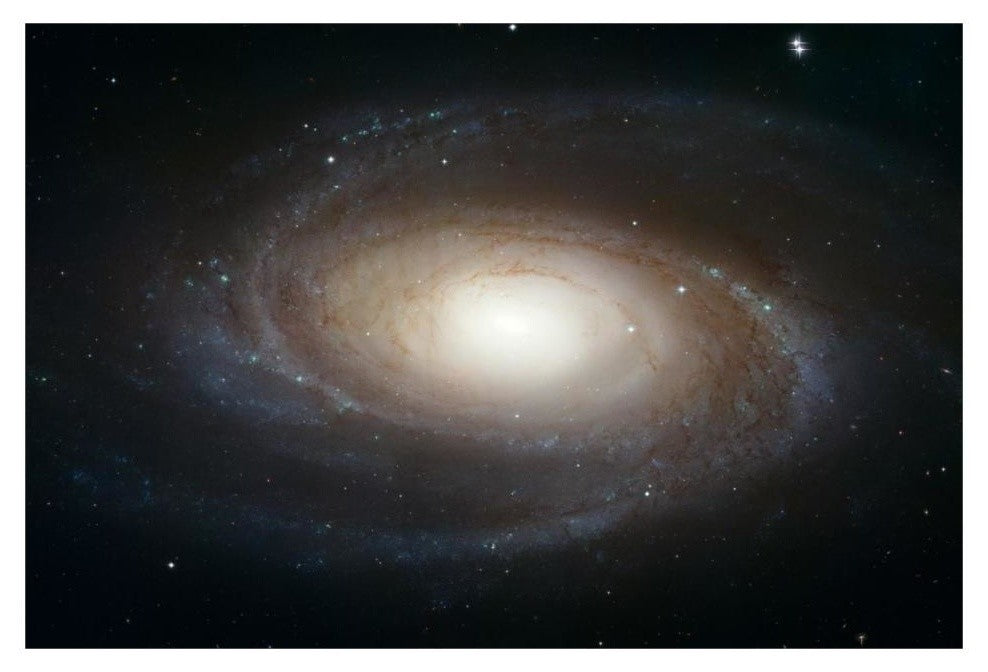 "Spiral Galaxy M81" Digital Paper Print by NASA, 32"x22"