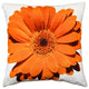 Pillow Decor - Bold Daisy Flower Orange Throw Pillow 20X20