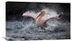 "Bathing Fun" Stretched Canvas Giclee by Antje Wenner-Braun, 30"x19"