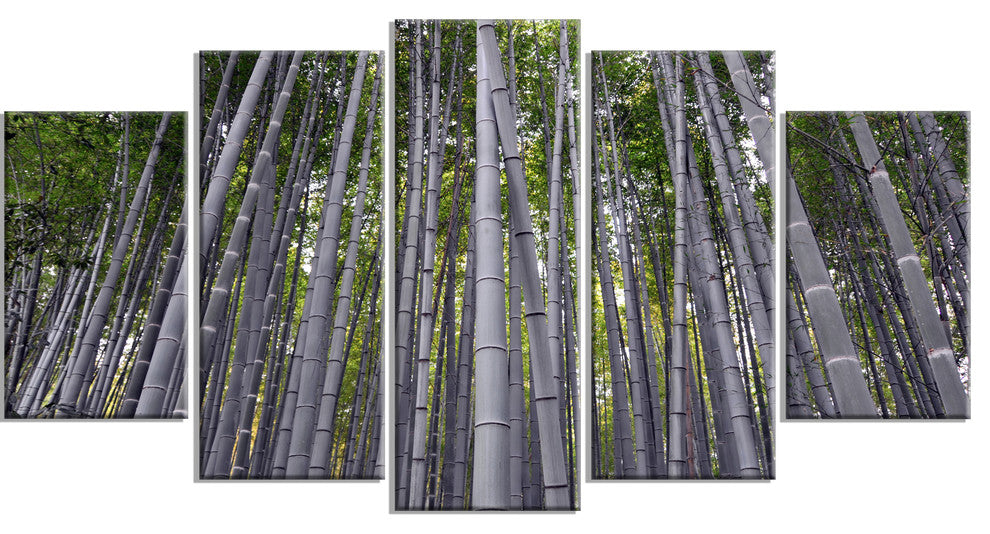 "Thick Bamboo Trunks in Japan" Forest Canvas Wall Art Print, 5 Panels, 60"x32"