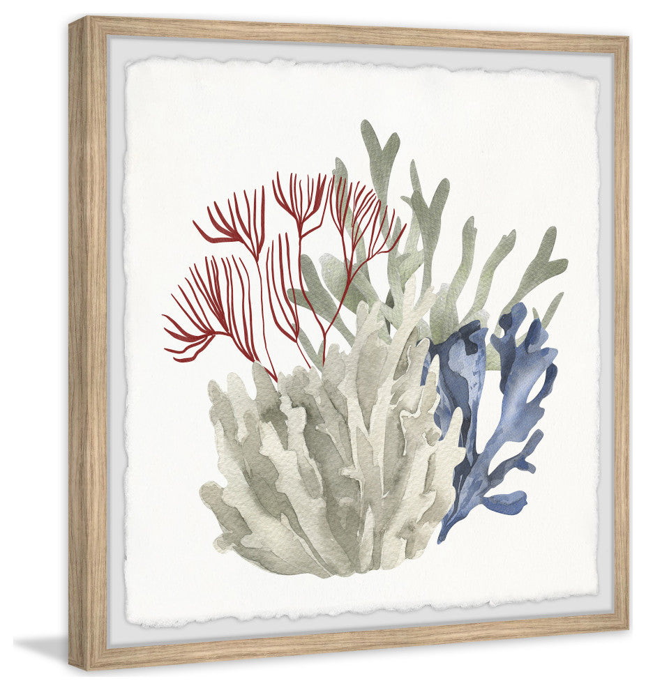 "Seaweed Bloom" Framed Painting Print, 24x24
