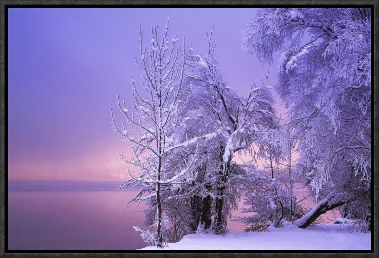 "Stillness" Framed Canvas Giclee by Norbert Maier, 19x13"