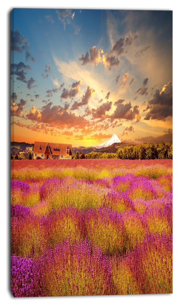 Majestic Lavender Field At Sunset, Floral Canvas Art Print, 16"x32"