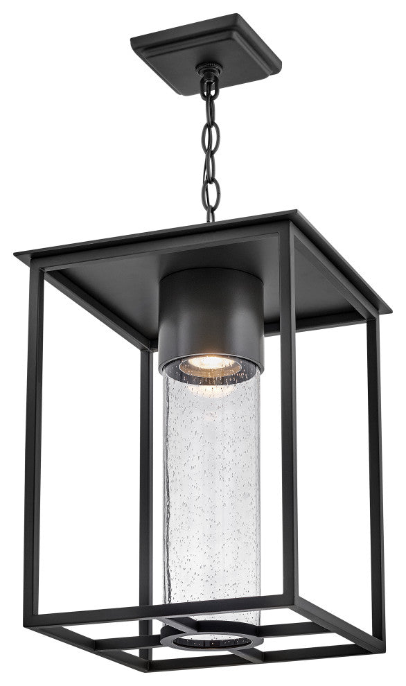 Hinkley Coen Medium Hanging Lantern, Black