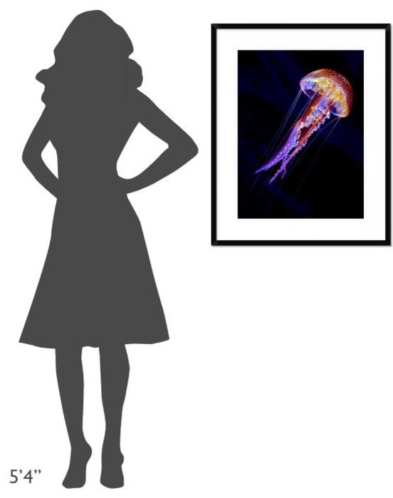 "Jellyen" Framed Digital Print by Henry Jager, 26"x32"
