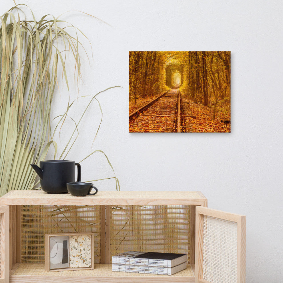 Ukraine Forest Railway Tunnel of Love Landscape Photo Canvas Wall Art Print, 16" X 20"