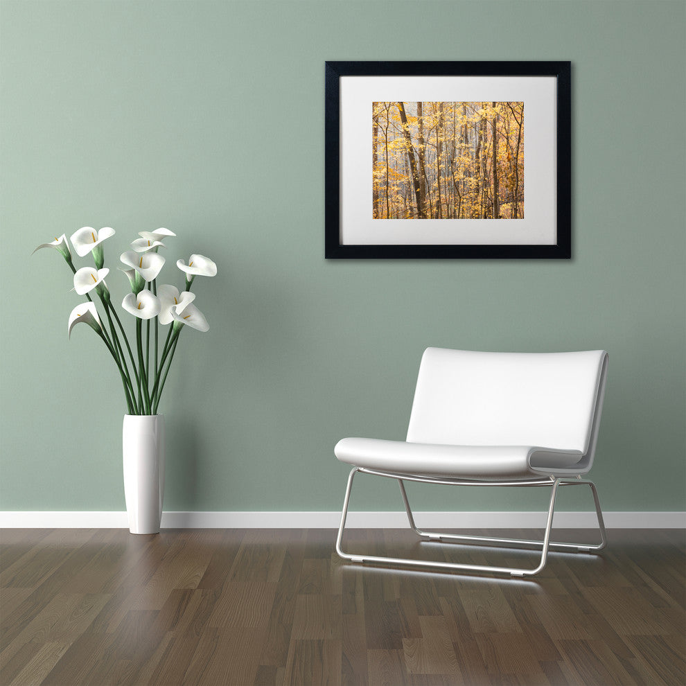 Jason Shaffer 'Autumn Treeline 2', Black Frame, White Mat, 20x16