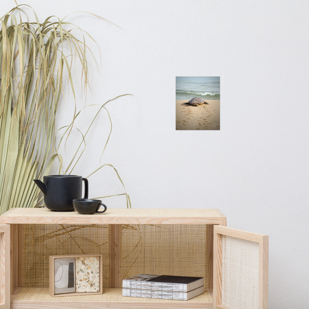 Baby Loggerhead Sea Turtle Beach Ocean Photograph Loose Wall Art Print, 8" X 10"