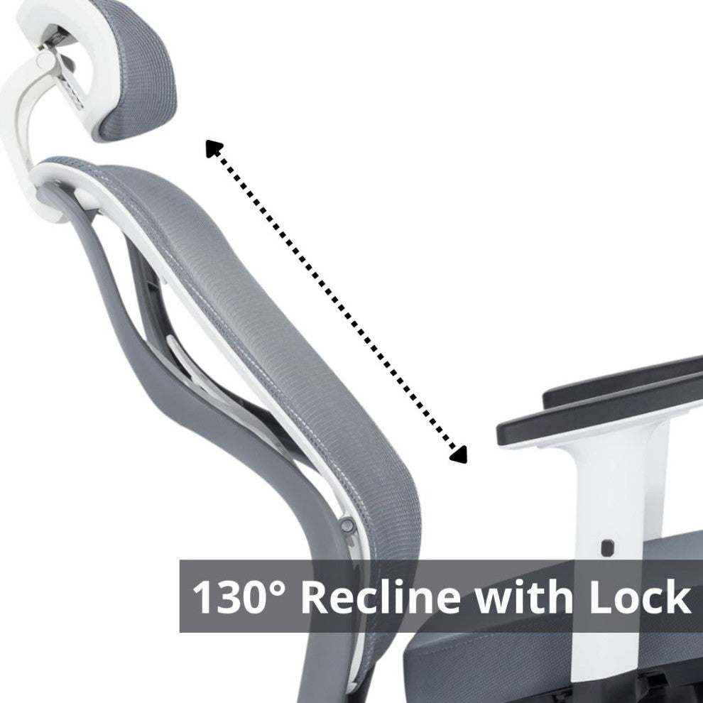 Elite Living Omega Ergonomic Fully Adjustable Home Office Chair