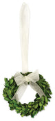 Preserved Boxwood Small Wreaths, Set of 12