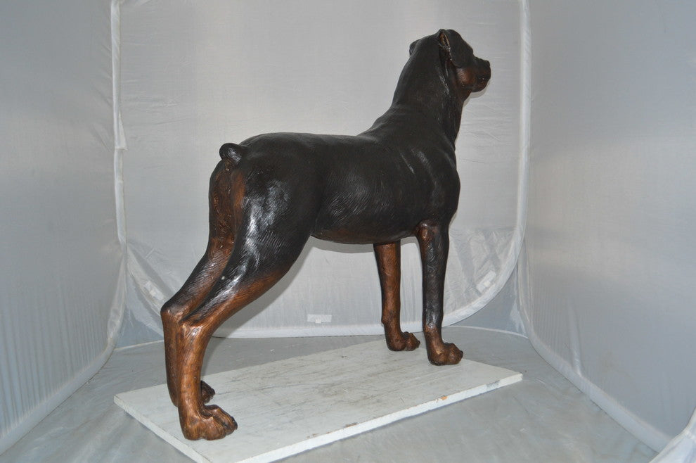 Rottweiler Dog Bronze Statue -  Size: 44"L x 10"W x 36"H.