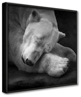 On My Pillow' Framed Print Wall Art by Andreas Krinke