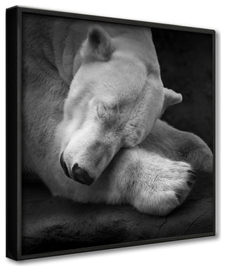 On My Pillow' Framed Print Wall Art by Andreas Krinke