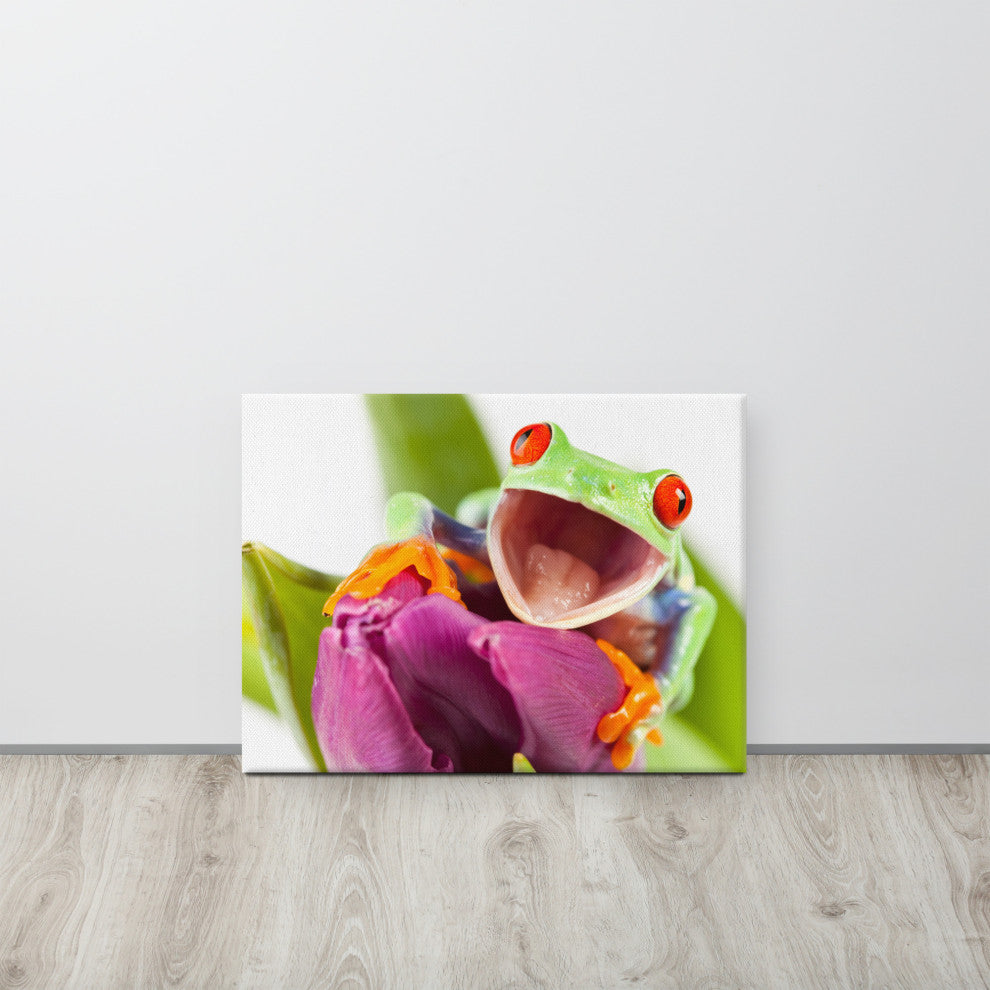 Red Eyed Tree Frog on Purple Tulip Flower Wildlife Photo Canvas Wall Art Print, 18" X 24"