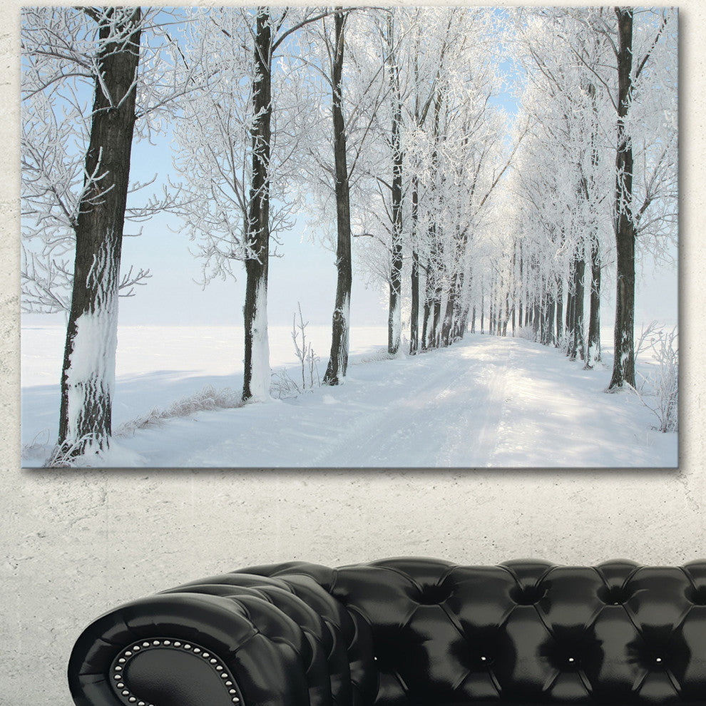 Beautiful Winter Forest Lane Photo, Large Forest Canvas Art Print, 40"x30"