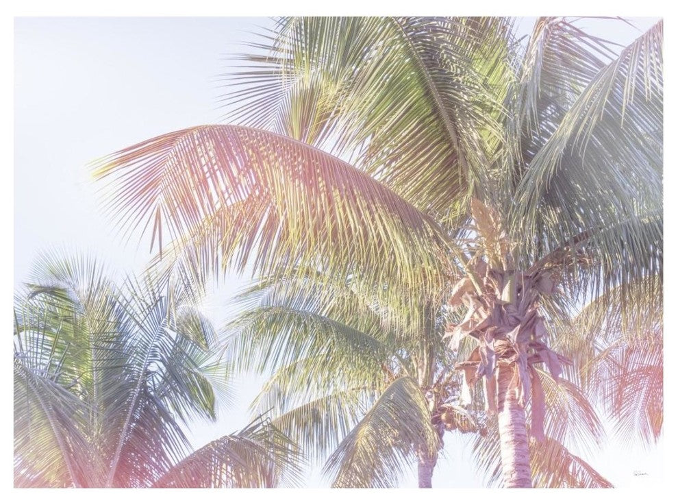 "Dream Palm I" Digital Paper Print by Sue Schlabach, 26"x20"