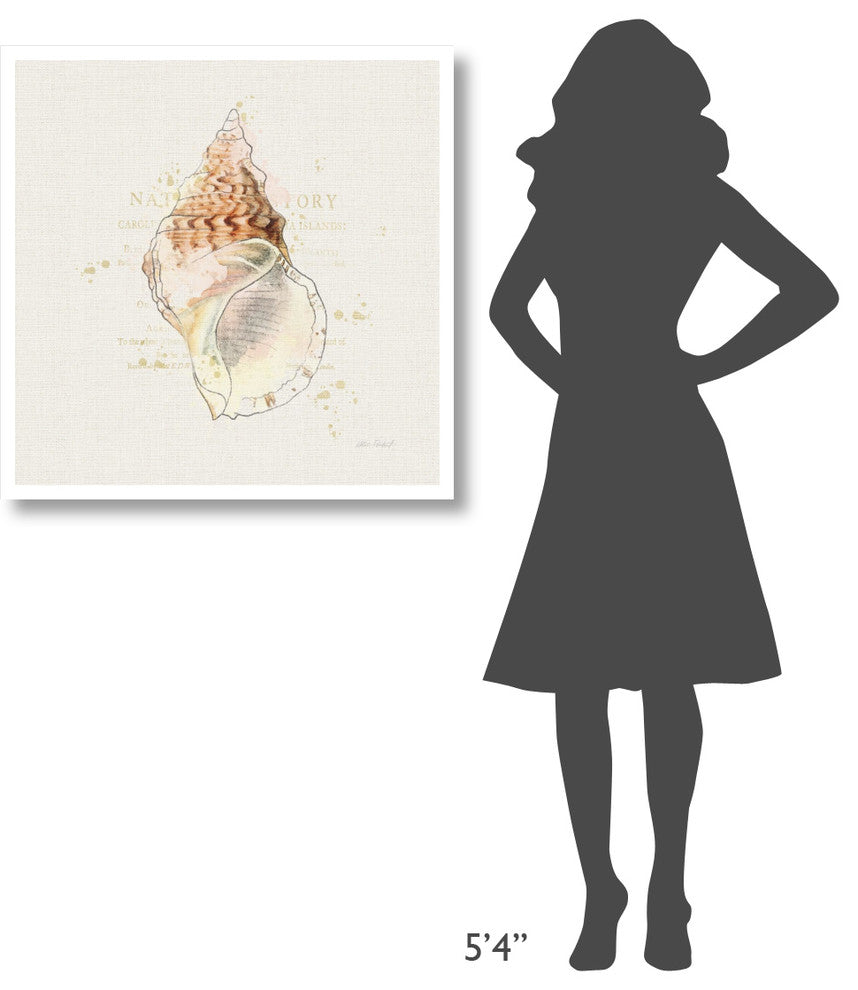 "Shell Collector III" Digital Paper Print by Katie Pertiet, 32"x32"