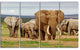 Large Elephant Herd in Africa, African Canvas Art Print, 48"x28", 4 Panels