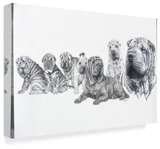 "Growing Up Shar Pei" by Barbara Keith, Canvas Art