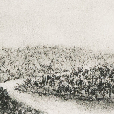 Hill Ctry Study Ii By Aileen Fitzgerald