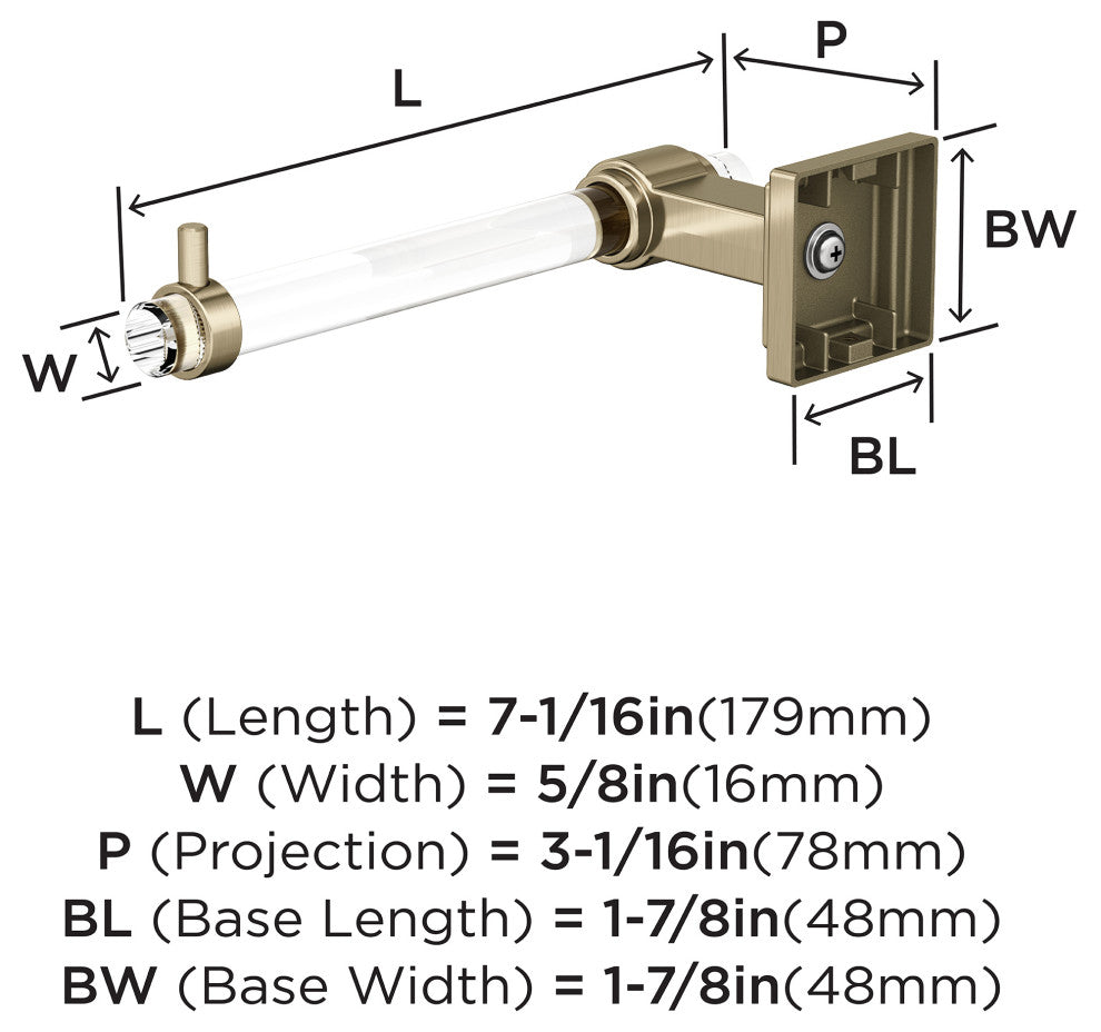 Amerock Glacio Contemporary Single Post Toilet Paper Holder, Clear/Golden Champa