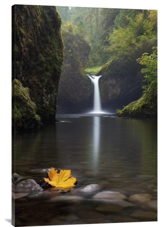 "Lonely" Stretched Canvas Giclee by Miles Morgan, 24x36"