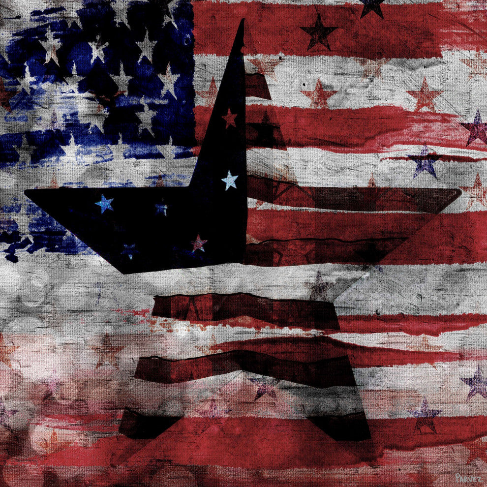 "Patriotic Emblem" Print on Canvas, 48"x48"