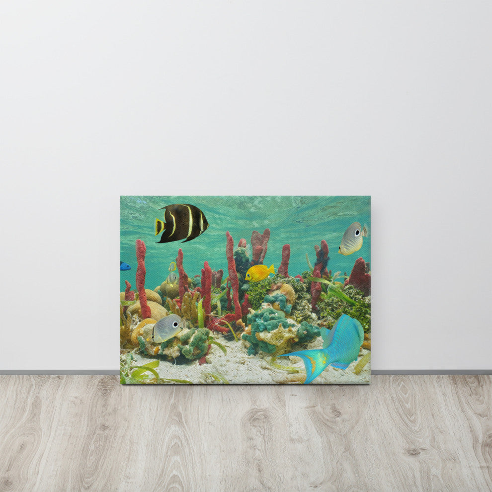 Colorful Tropical Fish Marine Life Coral Reef Wildlife Photo Canvas Art Print, 16" X 20"