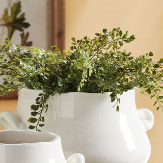 Lifestyle shot showing plant in white ceramic pot in home decor context.