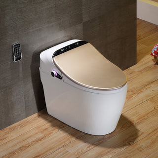 Smart One-Piece 1.27 GPF Floor Mounted Elongated Toilet and Bidet with Seat, Gold