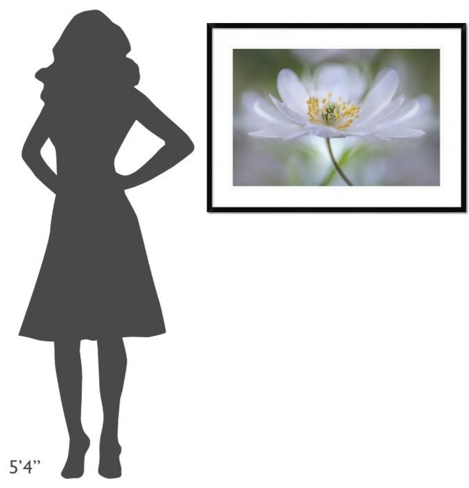 "Nemorosa Nirvana" Framed Digital Print by Mandy Disher, 38"x28"
