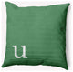 18" x 18" Modern Monogram Indoor/Outdoor Polyester Throw Pillow, Sage