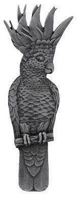Left Vertical Cockatoo Pull, Antique-Style Pewter