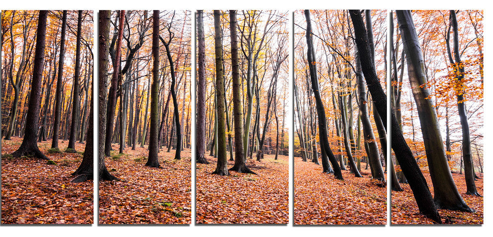 Bright Fall Forest with Clear Sky, Modern Forest Canvas Art, 60"x28", 5 Panels
