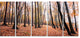 Bright Fall Forest with Clear Sky, Modern Forest Canvas Art, 60"x28", 5 Panels