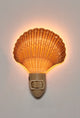 Scallop Shell Night Light, Natural