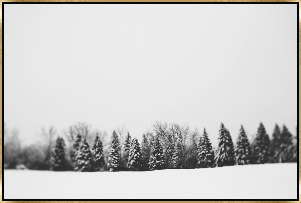 36x24 Pine Line, Framed Artwork, Gold