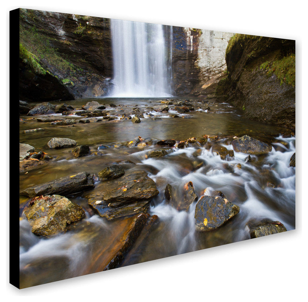 'Looking Glass Falls' Canvas Art by Pierre Leclerc