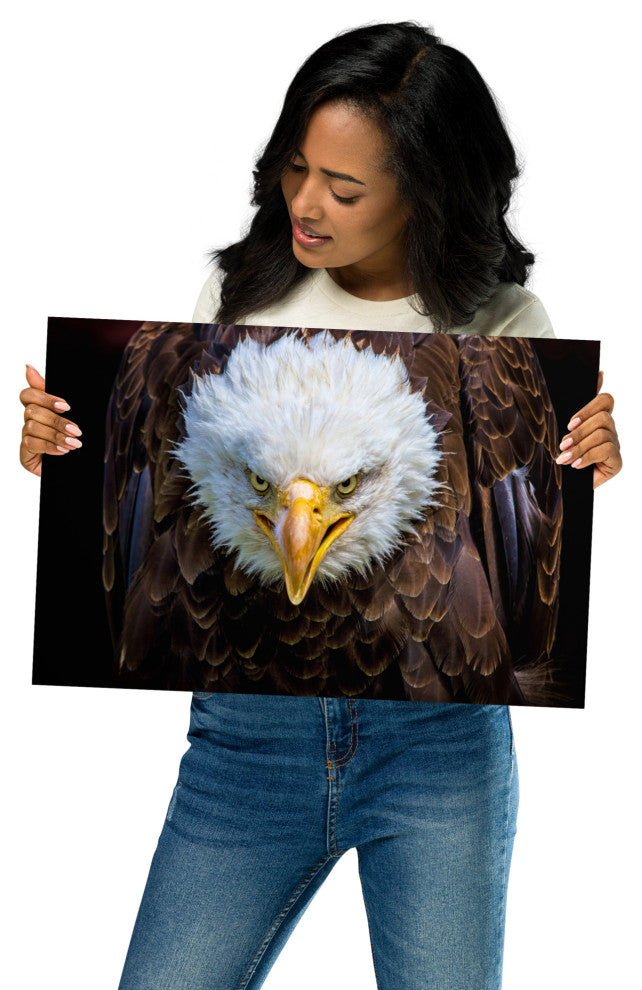 Bald Eagle Portrait Close-up Loose Wall Art Print, 12" X 18"