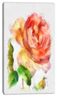 Bloomy Red Rose Watercolor Drawing, Floral Canvas Art Print, 16"x32"