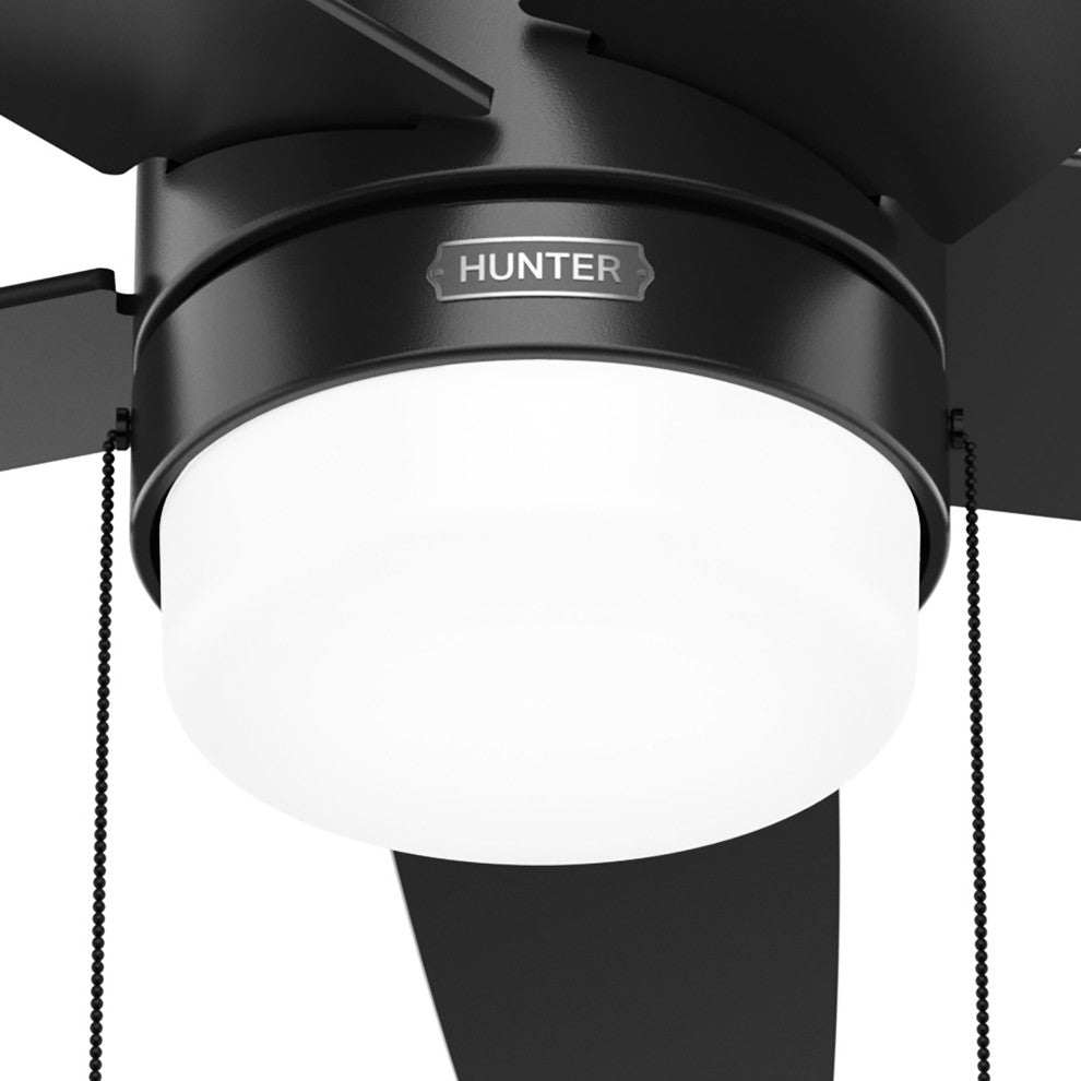 Hunter 44" Bardot Matte Black Ceiling Fan, LED Kit, Pull Chain