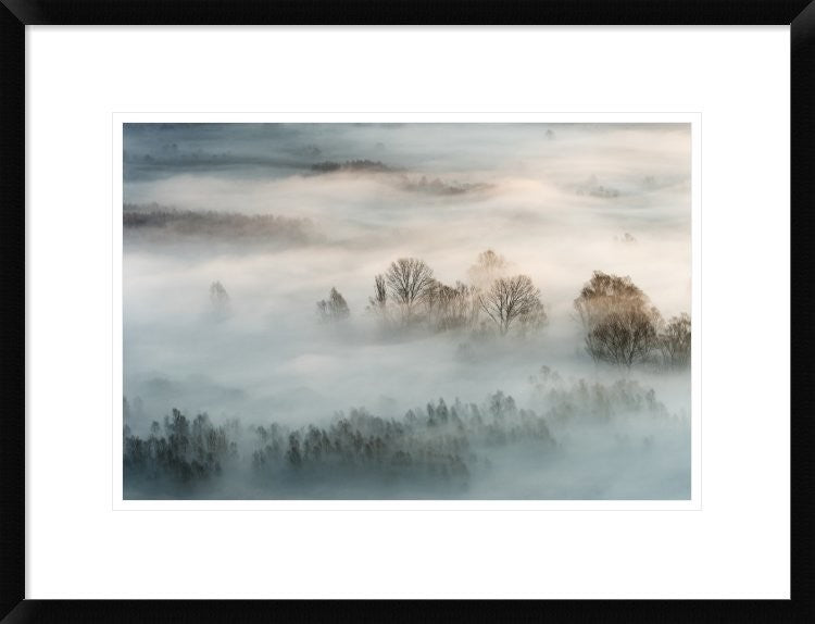 "Winter Fog" Framed Digital Print by Marco Galimberti, 26"x20"