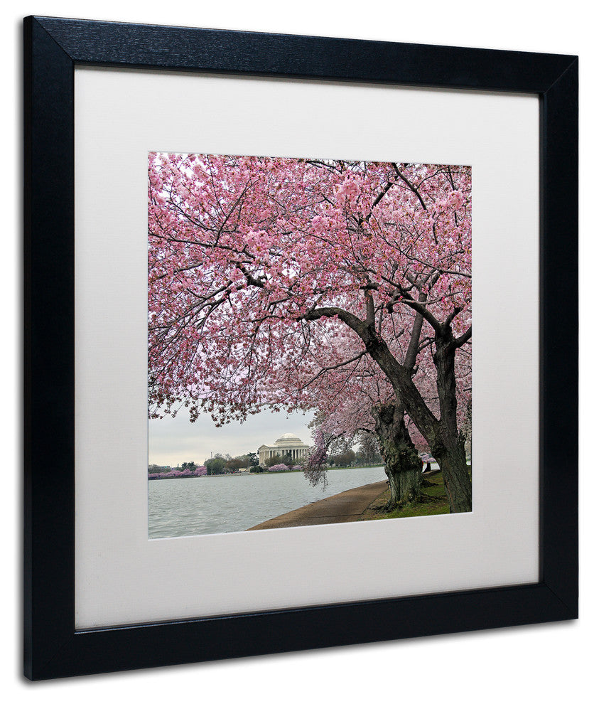 CATeyes 'Tidal Basin Blossoms' Matted Framed Art, 16x16