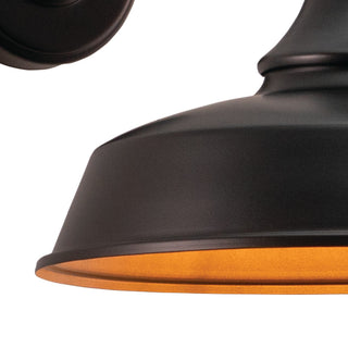 Dorado 1 Light Barn Outdoor Wall Lantern, Dark Bronze/Light Gold, 9"x9"x13"