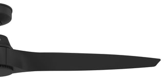 Hunter 60" Mosley ENERGY STAR Matte Black Damp Rated Fan and Wall Control