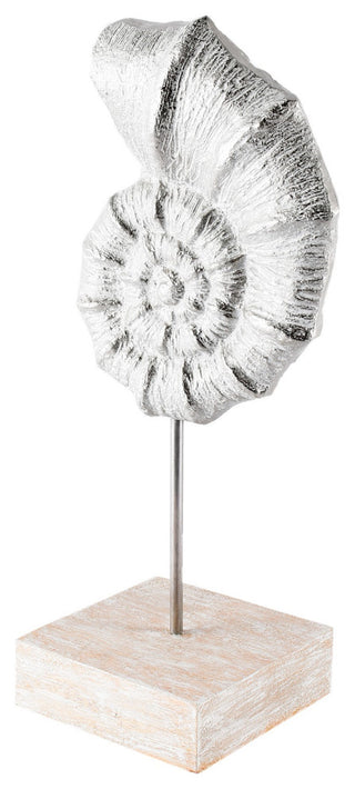 Cockle 5Lx4W White Coastal Iron Sea Shell