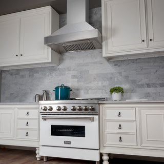 DuraSnow Stainless Steel Range Hood with DuraSnow Shell