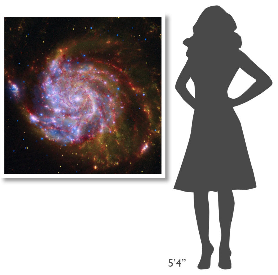 "Spitzer-Hubble-Chandra Composite of M101" Digital Paper Print by NASA, 42"x42"