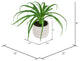 8" Artificial Green Succulent, Container, Pack of 2 , 8"
