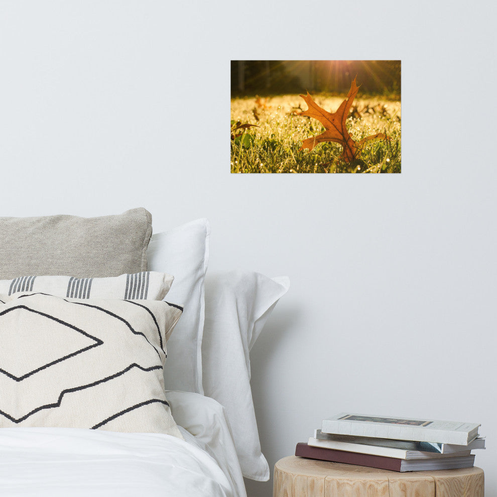 Fall Leaf in Morning Sun - Autumn Nature Photograph Unframed Wall Art Print, 12" X 18"